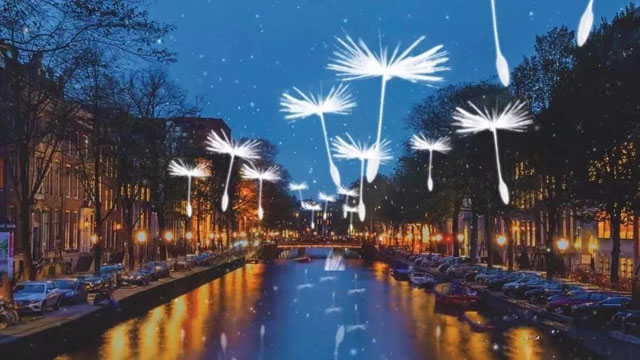 阿姆斯特丹的燈光節浪漫蒲公英互動裝置