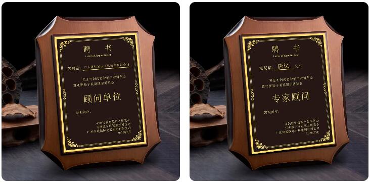 廣東建業(yè)顯示信息技術(shù)有限公司榮膺“亞洲數(shù)字展覽展示博覽會顧問單位”稱號
