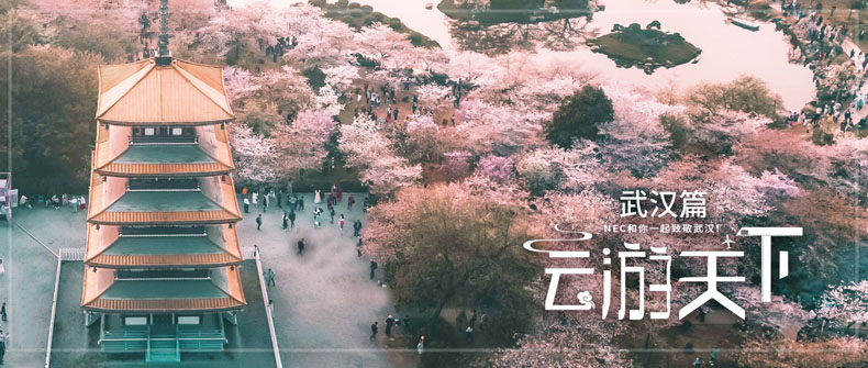|hƪ h⣬NECl(f)F(xin)Ӣ֮ǵһ