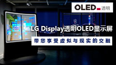 ͸OLED@ʾ̓McF