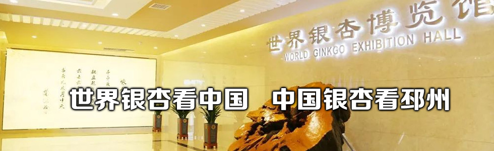 世界銀杏看中國，中國銀杏看邳州——世界銀杏博覽館