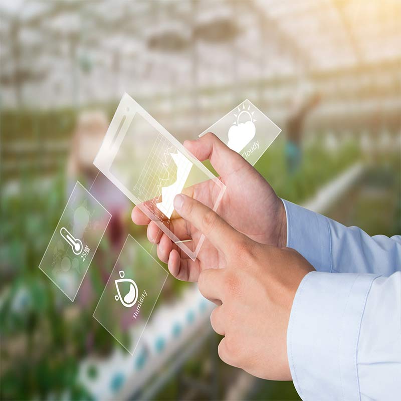 ��(li��n)�W(w��ng)����Nֲ���g(sh��)���� ��(sh��)���չ���ҷNֲ�O(sh��)Ӌ(j��)�D��