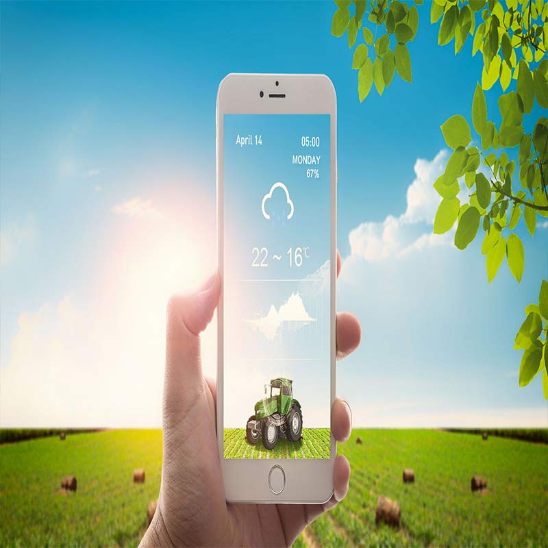 �ǻ����B(t��i)���ϴ���Nֲ��(n��i)�ݽ��O(sh��) ��(sh��)���߲˴����O(sh��)Ӌ(j��)�D